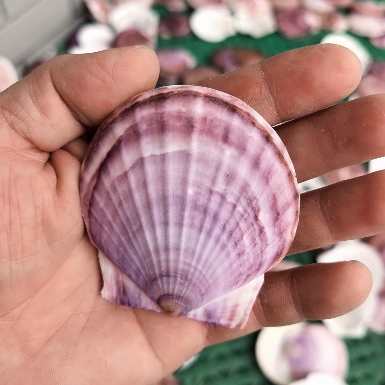 MTXX_20250420_122551079