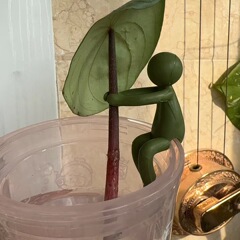 越境植物小人支持架固定緑植支柱盆栽防伏倒園芸固定杯装飾栽培