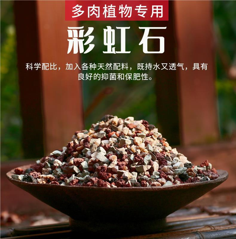 O1CN01OD19zn1jQkJdgJwDp_!!2218586454543-