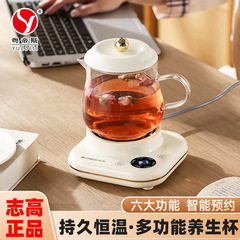 跨境志高智能养生杯家用炖煮保温办公室烧水煮茶多功能小型养生壶