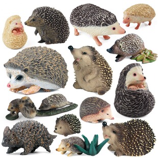 �羳���挍���J֪Ұ�����ք���ģ�ʹ��o�д̈F�o��͵�����ߔ[��
