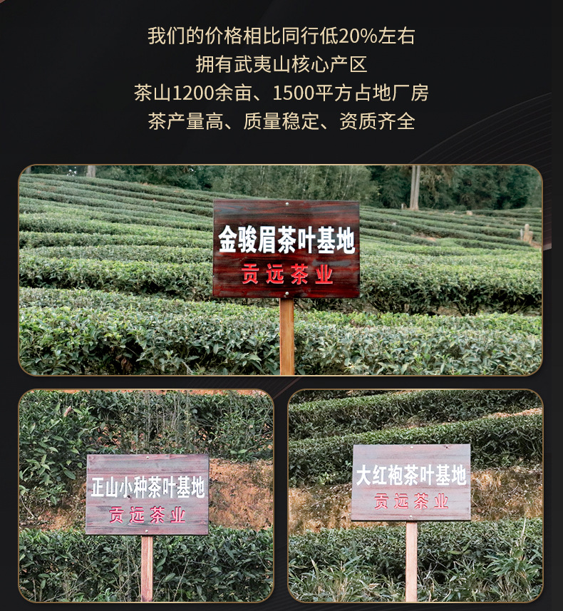 岩茶上半部分_04