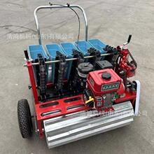 全自动化蒜头点播机电动汽油柴油农用自走式大蒜播种机大蒜播种机