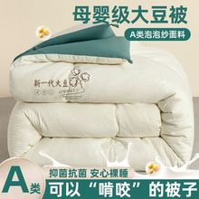 a类大豆纤维被加厚保暖冬被学生宿舍棉被春秋被冬季被子四季被芯
