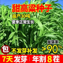 ������N�������������ݷN�����������Bֳ�ļ�����������U�N��