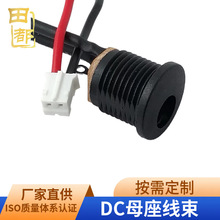 dcdcDPH2.0-2PӾĸAݼyֱԴ