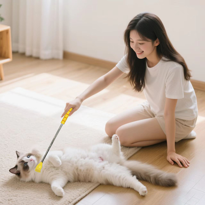 厂家直供宠物痒痒挠互动娱乐按摩伸缩挠猫咪玩具狗狗撸猫神器|undefined