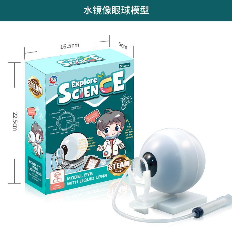 国境を越えたおもちゃ早期教育人間の臓器骨格モデルセット科学と教育小中学生 DIY 組み立て子供のパズル|undefined
