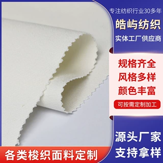 跨境纱支10/3*10/3全棉帆布阻燃高克重 10安帆布工作服面料