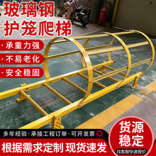 定制护笼爬梯绝缘耐腐蚀外墙储水罐检修深井爬梯护栏玻璃钢直梯