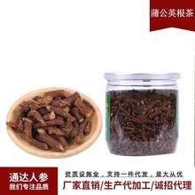 东北特产蒲公英根茶 250g/罐独立包装厂家批发一件代发蒲公英根茶