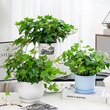 پGֲֲ҃ȵmٺB܃՚ֵļ