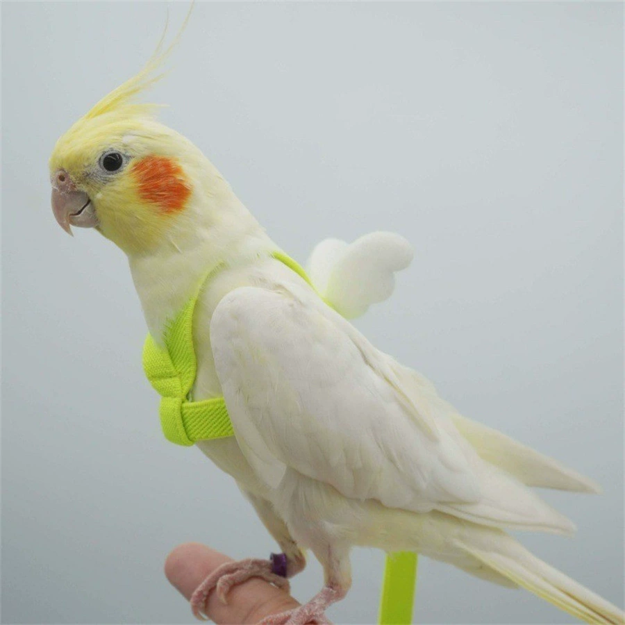 Летающая веревка для попугая, тигровая кожа, пион, черный ветер, птица, маленький ангел, шлейка для птицы, прогулочная тяговая веревка для домашних животных