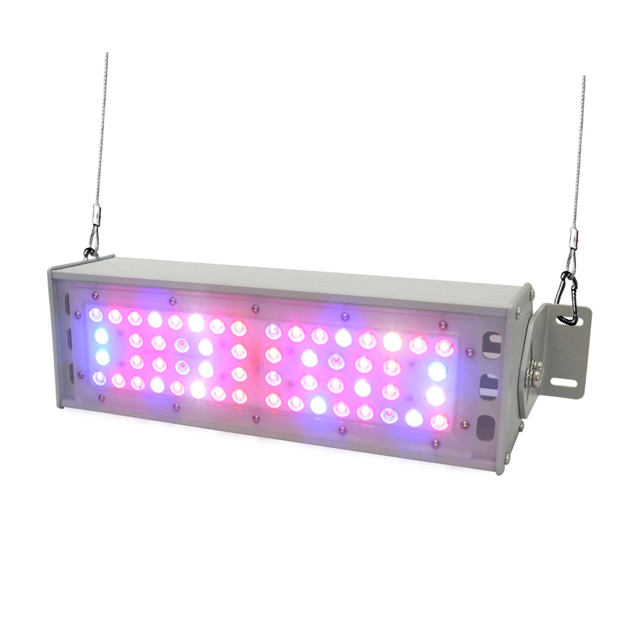 ֱLED50W 100WֲҴֶ֧ƹ