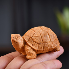 崖の柏のカメの手の件の富甲の文は遊んで何をしますか?