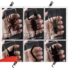 �挍��֬���x�˱����x���x֩���@����ţϐ�������x����ˉ�����