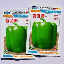 ���_�𽷷N�Ӵ���L���\���𽷷N�ӿ�����G�s���𽷲˽��N��