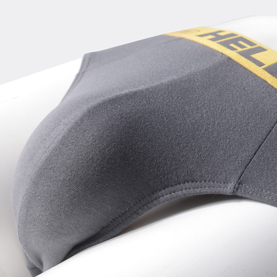 Men's briefs cotton underwear boys comfortable breathable spring men's shorts new briefs men's wholesale