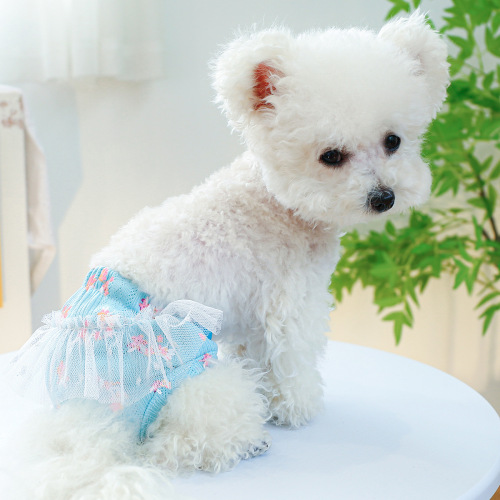 Pet Dog Menstrual Pants Cute Skirt Lace Pants Teddy Sanitary Pants Strawberry Blue Crushed Flower Menstrual Pants