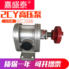 批发2CY2.1m3/h高压电动齿轮泵 小流量乳胶漆输送泵 不锈钢自吸泵