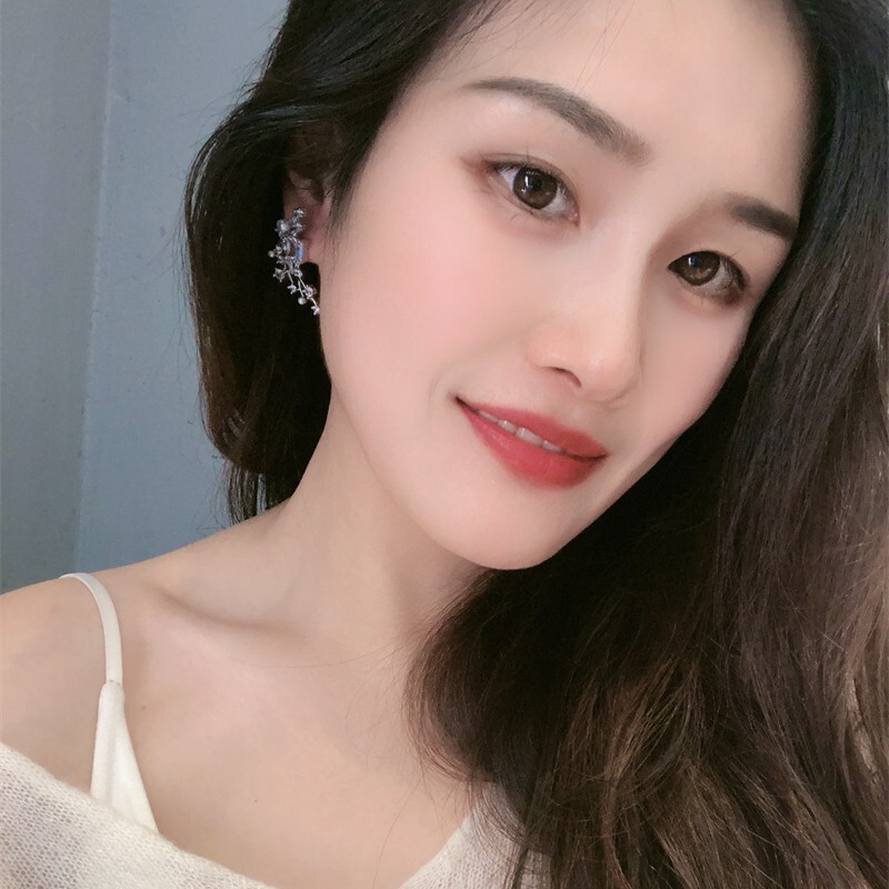 法式复古时尚优雅璀璨星云耳钉气质轻奢百搭镶锆石珍珠烟花耳环|undefined