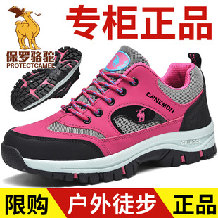 ���_������\�ӵ�ɽЬ ���Q�r�����eЬ������ĥ�p��ͽ����ɽЬ