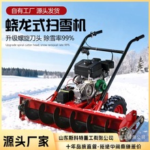 手推式扫雪机物业小区清雪机小型蛟龙扫雪机全齿轮除雪机厂家直售