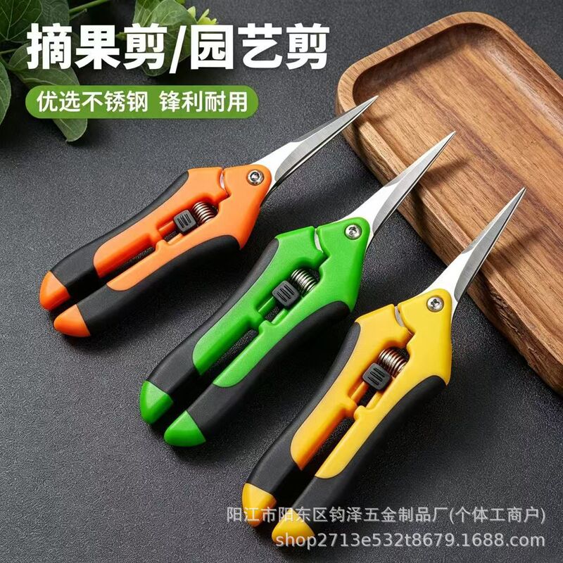 Directly from the manufacturer: Stainless steel pointed fruit picking scissors, fruit and grape harvesting shears, pruning shears for fruit branches and tree branches, garden shears Directly from the manufacturer: Stainless steel pointed fruit picking scissors, fruit and grape harvesting shears, pruning shears for fruit branches and tree branches, garden shears