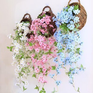 ����ڒ�ӭ�����҃����bҾӠ���Ғ���⻨�@��c�쾰�[��ͥԺ