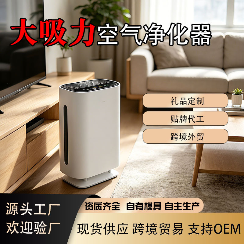 Manufacturer Wholesale Negative Ion Air Purifier for Removing Pet Dander, Formaldehyde, Smart Sterilization, and Second-Hand Smoke for Home Use Manufacturer Wholesale Negative Ion Air Purifier for Removing Pet Dander, Formaldehyde, Smart Sterilization, and Second-Hand Smoke for Home Use