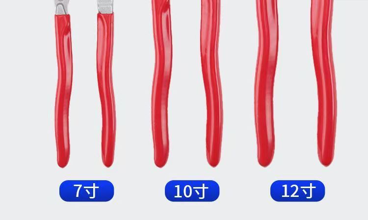 微信图片_202506031621383