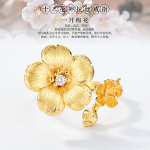 ���R�d���NS925���y��ָŮ�����F�����z÷����ָ���w����y�����