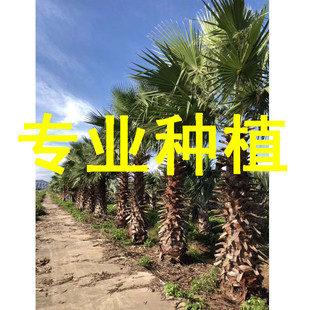 �����������˿����� �U��2-5���������� �е��ؙ��� �l�㽭����