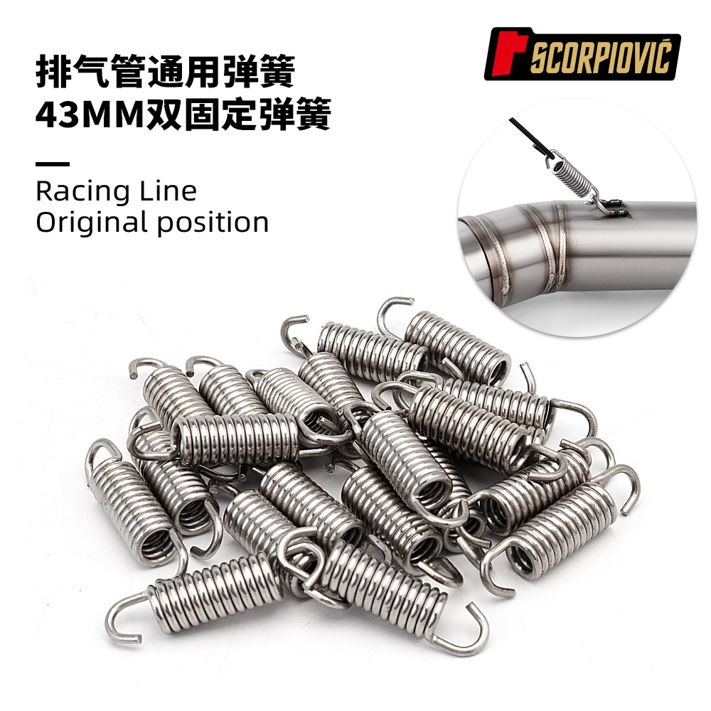 Аксессуары для мотоциклов, двойная фиксированная пружина 450SR Huanglong 600 GSX250 G310RR RS660