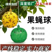 �������ω�T����ճ�x����@�r�����Ï���ճ�x��ό�ω�w�x�T����