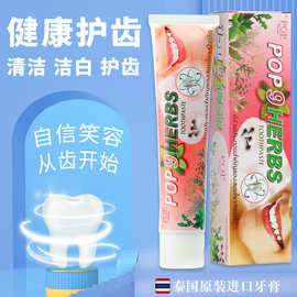 泰国原装进口POP乌龙山牙膏去牙渍清新口气160g批发正品证件齐全