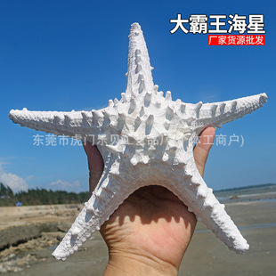 Ⱦɫ�z�^������Ȼ����ؐ��������������Ĕz���߻�c�b[�����l