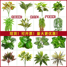 植物墙绿植小型假花摆设造景塑料装饰花仿生绿萝波斯人造草坪