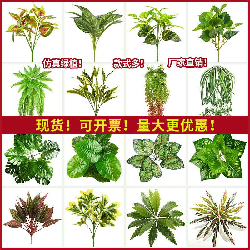 植物墙绿植小型假花摆设造景塑料装饰花仿生绿萝波斯人造草坪