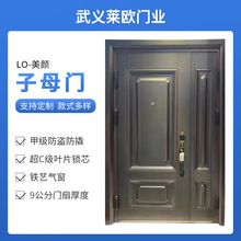 甲级安全门甲级钢质进户门甲级防盗家用入户门子母门厂家直销门