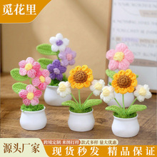 手工钩织迷你小盆栽成品毛线泡芙摆件办公室桌面装饰创意礼品批发