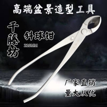 ǧ�ٷ����P�б���Q��б�ڃ����Q�߶��辰���͹�������ă�