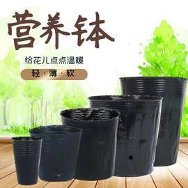 批发营养钵育苗杯批发营养钵育苗杯育苗花盆苗圃植物加厚花盆黑色