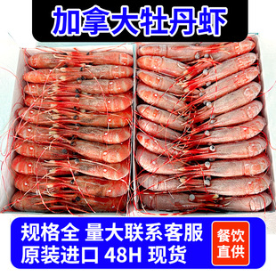 �F؛���ô�ĵ���r���������ʳȫҎ��꺣�r���l����r��ĵ���r