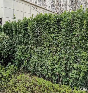 һ�����l������������h����ͥԺ�G�����ڇ���������~����G�h