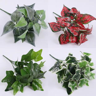 ����Gֲ����b����Q�ع��~���l��c�b����Դ����쾰�G���G�}