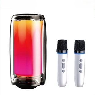 ���Y���Rȫ���羳˽ģ�{�����TWS�����Z������K���������֧�ֶ�