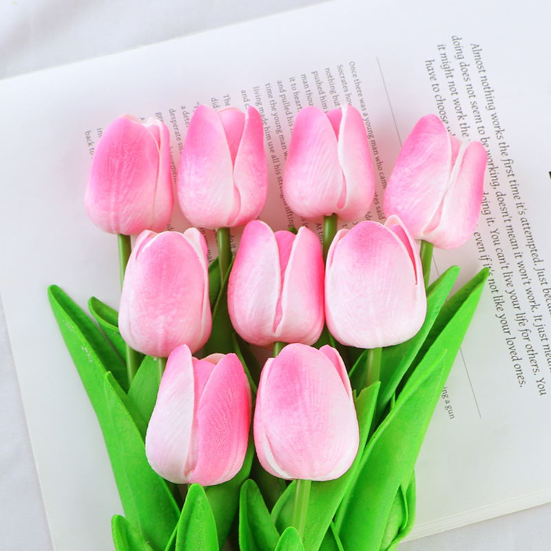 라이트 피치 파우더