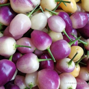 ���r�߲ʽ��V���خa���\�A���ݽ��Fժ�߲���ɫ�������]�r����ʽ�