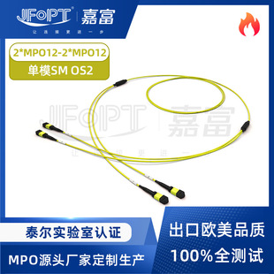 24оMPO��֧���w������ģOS2 2MPO-12�D2MPO-12 APC�͓p�Ķ���